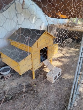 Conjunto Gallinero Madera y Voladero Metálico