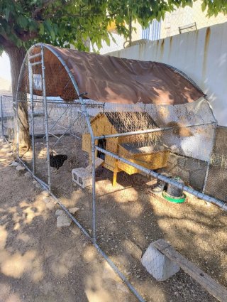 Conjunto Gallinero Madera y Voladero Metálico