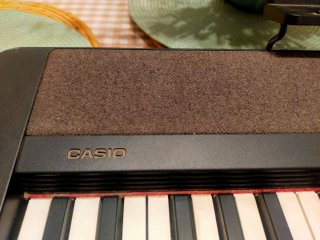 Teclado Casio Portátil negro