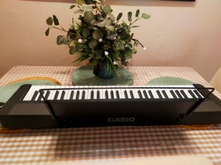 Teclado Casio Portátil negro