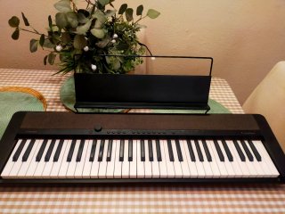 Teclado Casio Portátil negro