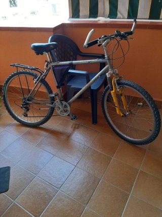 Bicicleta de Montaña