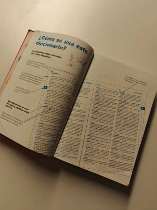 Diccionario Lengua Española