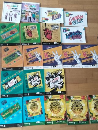 Lote de libros 5 primaria Edelvives. Un solo uso.