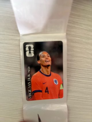 Cromo Coca-Cola Van Dijk