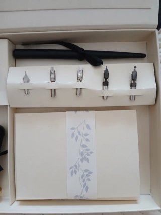 Set di calligrafia con penne e inchiostro