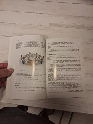 PSICOLOGIA A L'ARBITRATGE DE FUTBOL