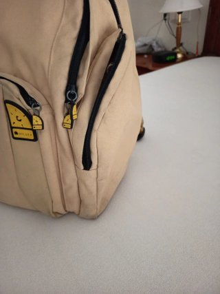 Mochila Delsey Beige con Refuerzo