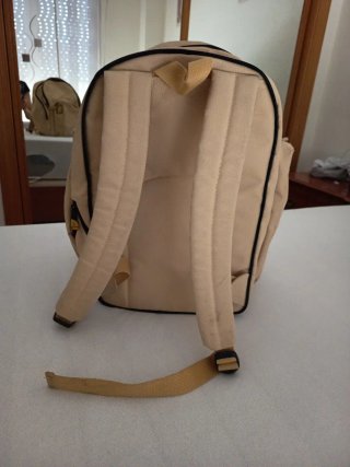 Mochila Delsey Beige con Refuerzo