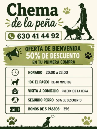 Paseo de perros a domicilio en Chamberí