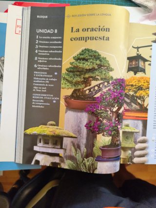Lengua castellana y literatura I. Libro del est...