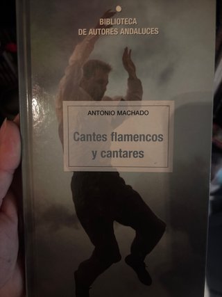 Libro flamenco