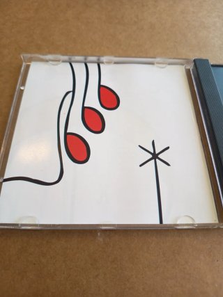 CD RAIMON - Cançons de mai