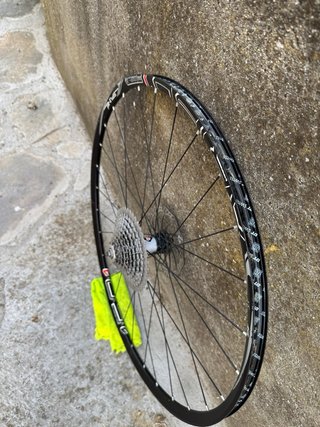 Pneumatici DT Swiss XR 1501 Spline 29