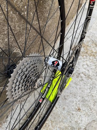 Pneumatici DT Swiss XR 1501 Spline 29