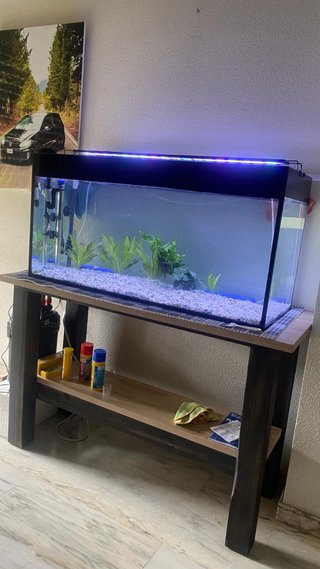 Se vende acuario 200L