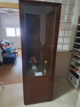 Vitrina de madera con puertas de cristal