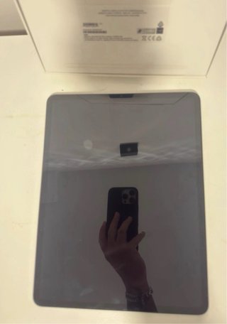 iPad Pro 12.9 6ª Gen Plata