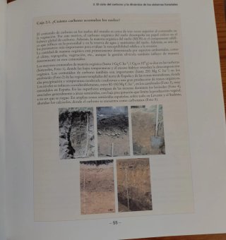 El papel de los bosques españoles en la mitigac...