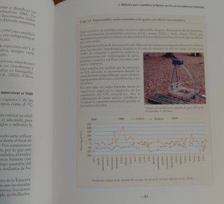El papel de los bosques españoles en la mitigac...