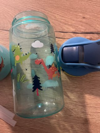 Botella agua infantil dinosaurios