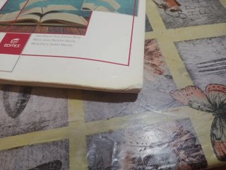 Lengua castellana y literatura, 4o ESO