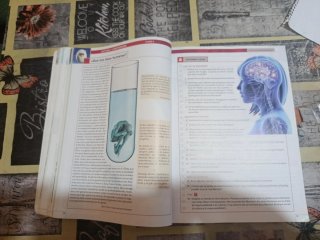 Lengua castellana y literatura, 4o ESO