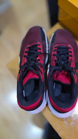 Zapatillas Nike Lebron James Negras y Rojas