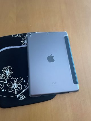 Apple iPad 9 Plata