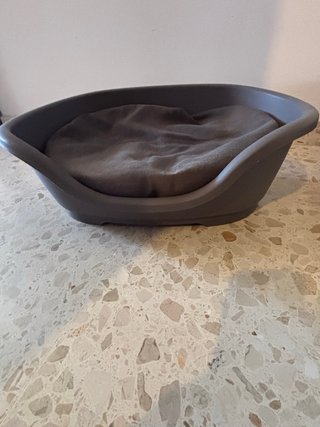 Letto per cani con cuscino in pasta rigida