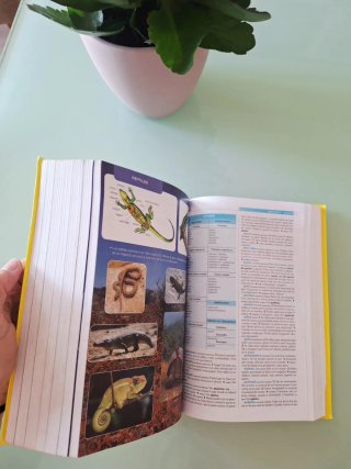 Diccionario Espasa de Primaria