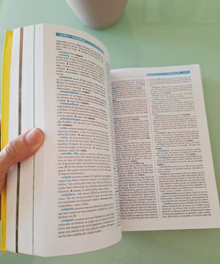 Diccionario Espasa de Primaria