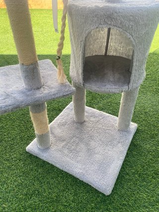 Box, gratta e torre per gatti