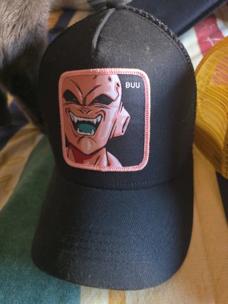 HAY QUE LAVARLAS Gorra Dragon Ball Z Gohan vs Maji
