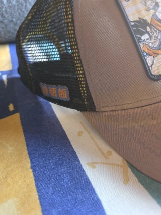 HAY QUE LAVARLAS Gorra Dragon Ball Z Gohan vs Maji