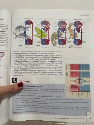 Biologia en context 1 Batxillerat