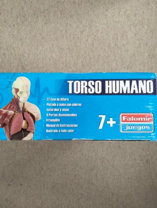 Torso Humano Falomir 27cm 8 Partes