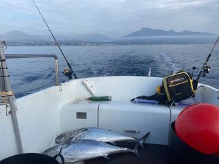 Barco Rodman Trancha 17