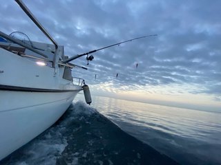 Barco Rodman Trancha 17