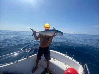 Barco Rodman Trancha 17