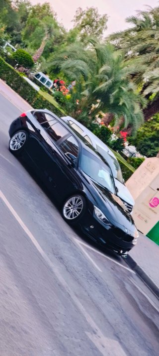 BMW Serie 3 2014