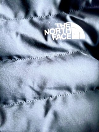 Anorak The North Face Negro con Capucha