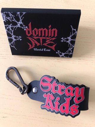 Stray Kids: OT8 pc set DominATE Tour + Keychain