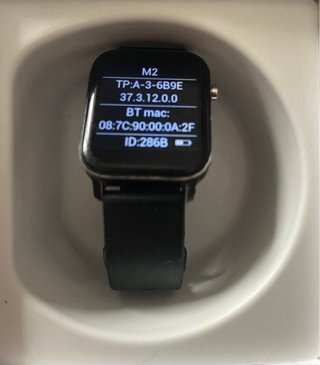 Smart Watch M2