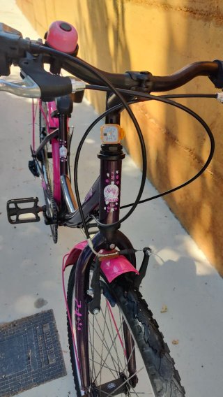 Bicicleta Paseo Niña Morada