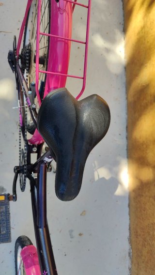 Bicicleta Paseo Niña Morada