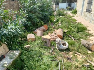 Jardinero profesional.