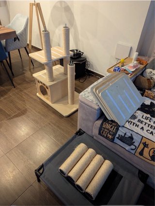Árbol rascador para gatos