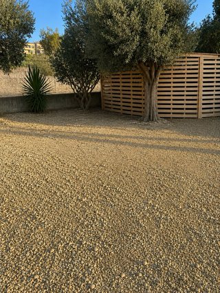 Se alquila parcela de campo compartida