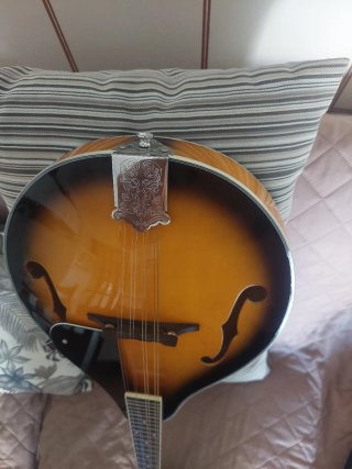 Mandolino Amoom come nuovo con custodia